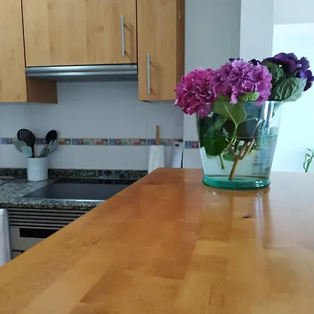 Apartamento Centrico Con Vistas * Βίγκο